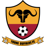 young-buffaloes